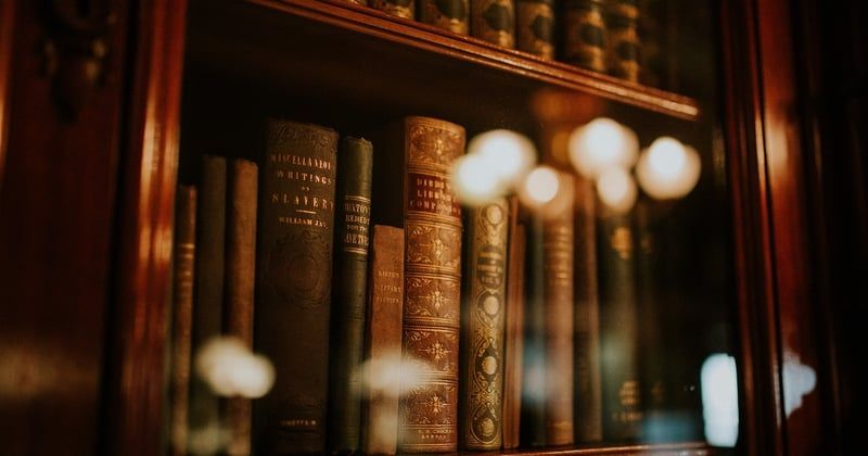 Bibliothèques face à la fracture numérique : comment elles deviennent des remparts essentiels